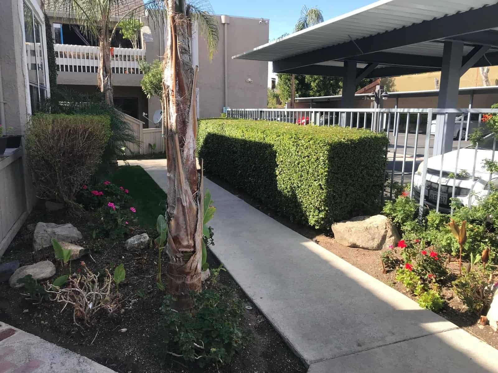 Vibrant garden with trimmed hedges, colorful flowers, and decorative rocks, showcasing professional landscape design.